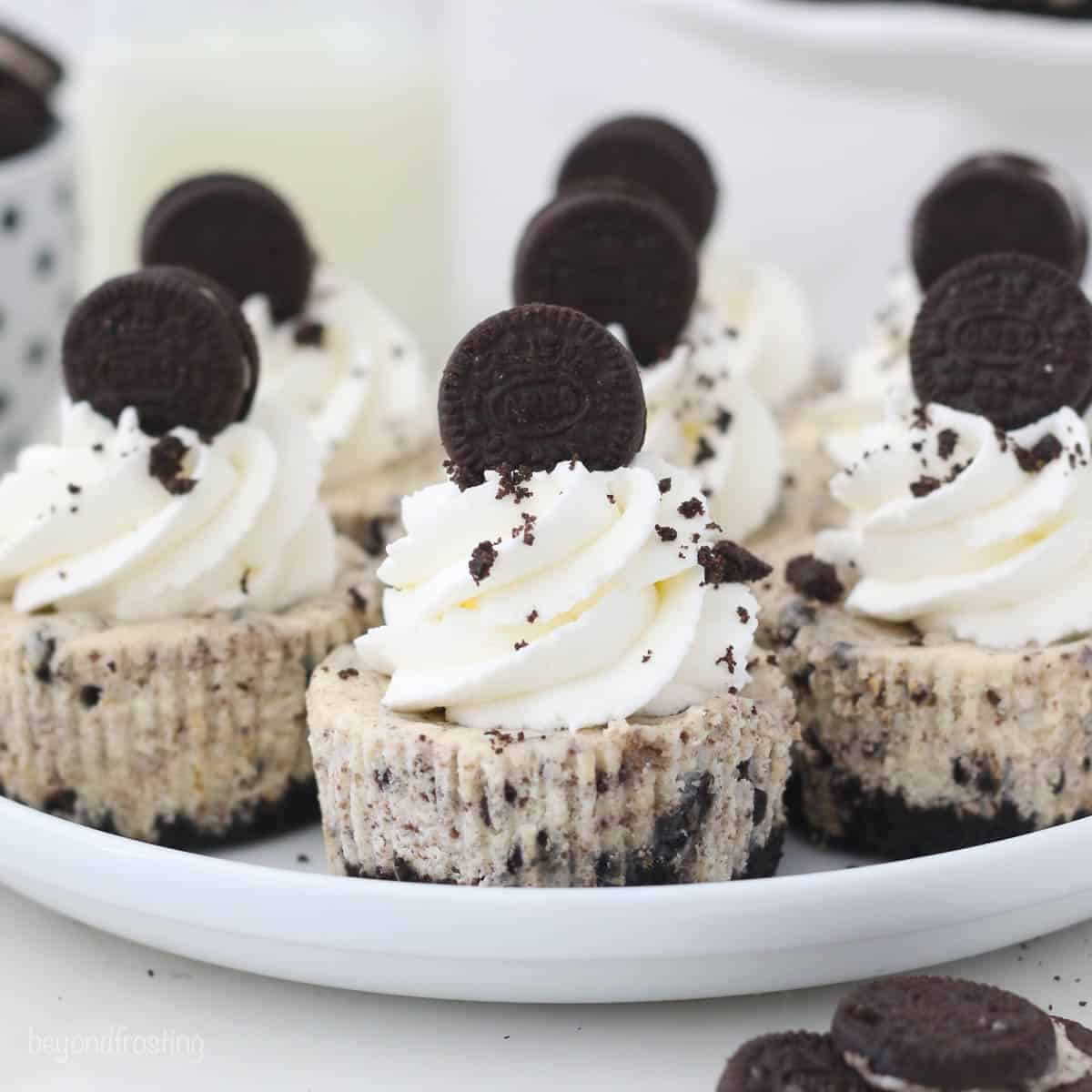 Mini cheesecakes